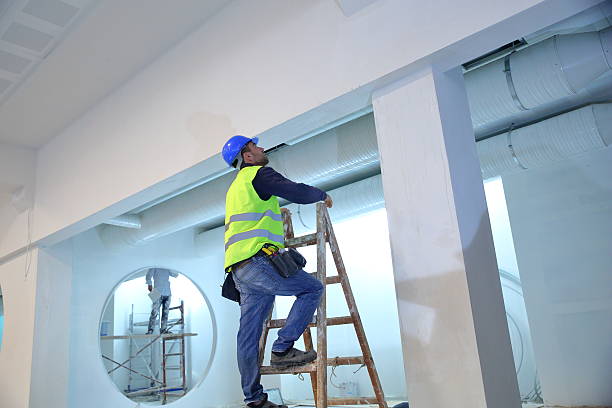 Professional Mold Removal in Richland, PA